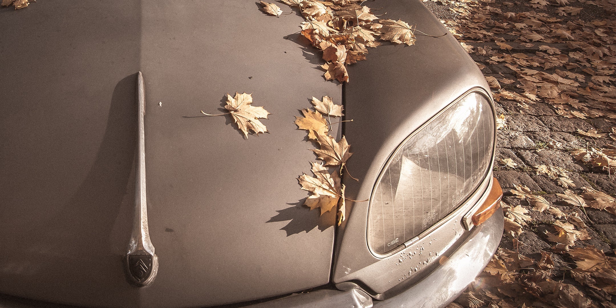 Karosserie- & Innenpflege